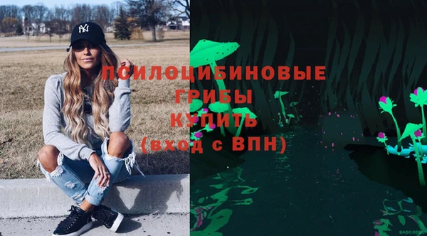 бутират Гусев